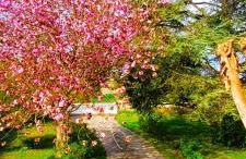 Belle maison de vacances entre Saint-Malo et Mont-Saint-Michel. Le Clos Fleuri - Foto 31