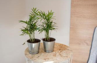 Apartamentos River Santander - Foto 57