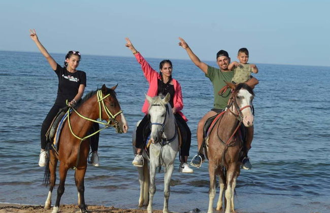 Passeio a cavalo pela costa de Sharm el-Sheikh - Foto 2