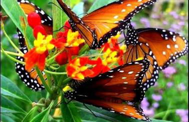 The Bryan House, Where History & Nature Meet! - Foto 56