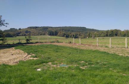 La pause enchantee - Foto 2