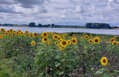 Landkate im Dorfkern - Foto 20