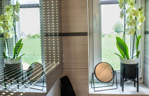 Domek Gościnny Czempion - Foto 5