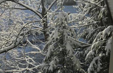 Pasieka - Dom Wypoczynkowy - Foto 55