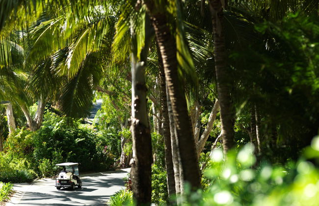 Hamilton Island Holiday Homes - Foto 5