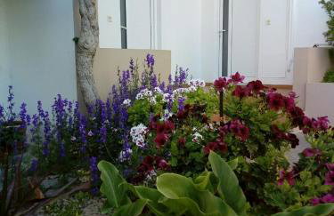 Yannis Apartments - Photo 23
