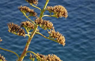 Casa Erbaggio - Foto 24