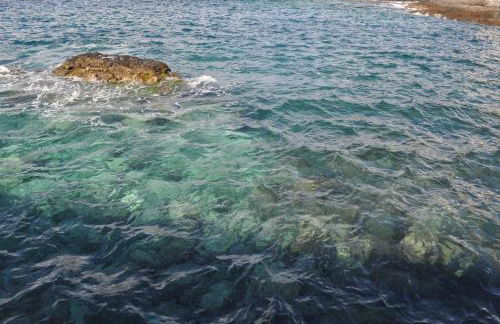 Luar del Carmen - Foto 51