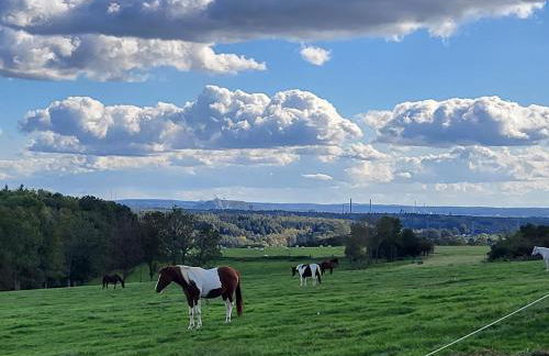 Ferienwohnung Landhaus Reitersbruch - Foto 13