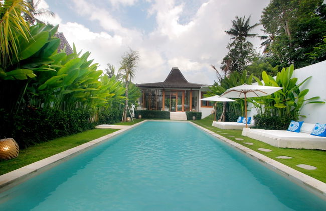 The Apartments Ubud - Foto 52
