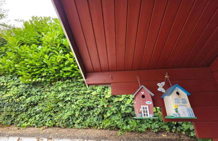 Ruhe am See - Foto 12