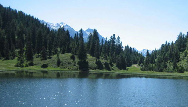 Termas de Reyes & Yala Lagoons Tour - Foto 2