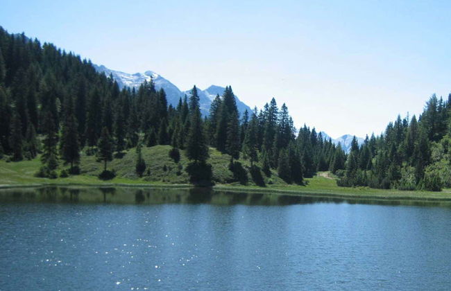 Excursión a las Termas de Reyes y lagunas de Yala - Foto 1