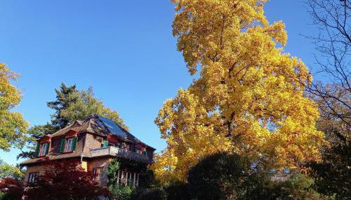 Ferienwohnung Unterm Tulpenbaum - Foto 3