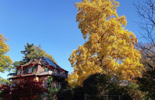 Ferienwohnung Unterm Tulpenbaum - Foto 3