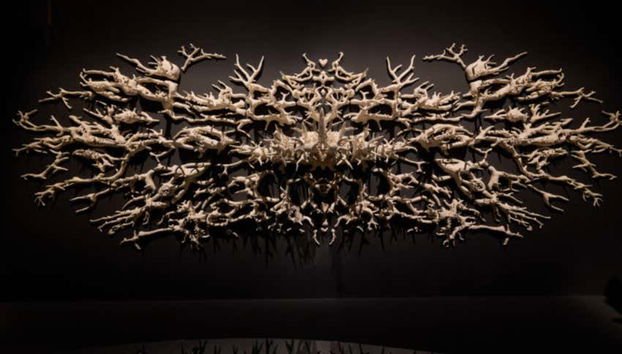 Singapore Art and Science Museum Ticket - Foto 3