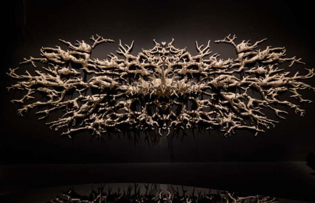 Singapore Art and Science Museum Ticket - Foto 3