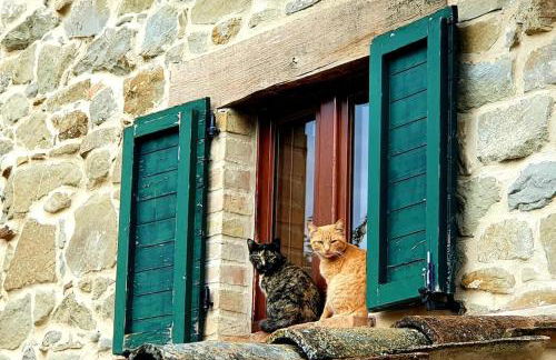 Casa Flori & Leonardo's Country House - Foto 31