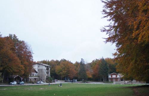 La Lamponaia - Foto 38