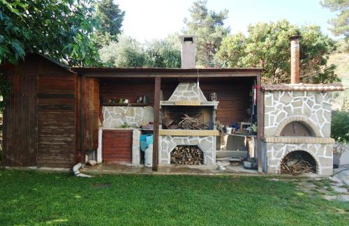 Alexandra Homestay - Foto 51