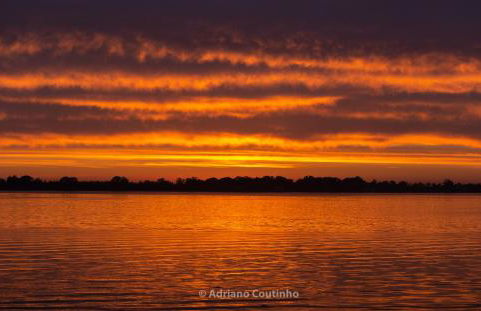 Ria de Aveiro White House - Foto 19