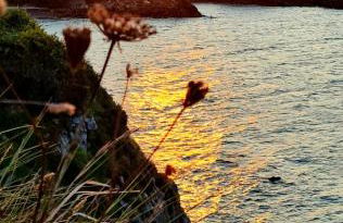 Piso "Al Norte" Luanco Terraza Parking WI-FI - Foto 35