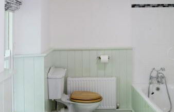 Bronfelin & Troed-y-rhiw Holiday Cottages - Foto 18