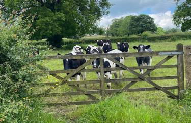 Luxury Peak District stay set in private land with horses and country Pub - Dog Friendly - Foto 34