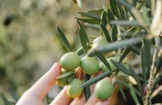 House of Athina and Fanourios - Photo 35