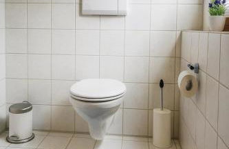 Zum Blauen Seehasel - Foto 10