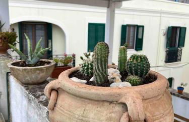 Casa Anacleto - Foto 28