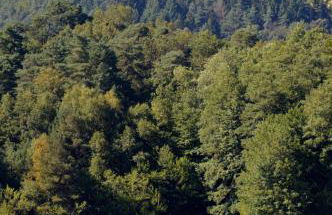 Le Gîte de l'Ecureuil - Foto 48