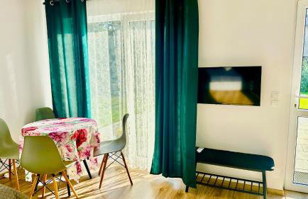 Domki Pasieka Domek D - Foto 15