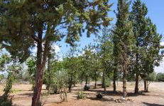 Hostal Restaurante San Martin de Montalban - Foto 42