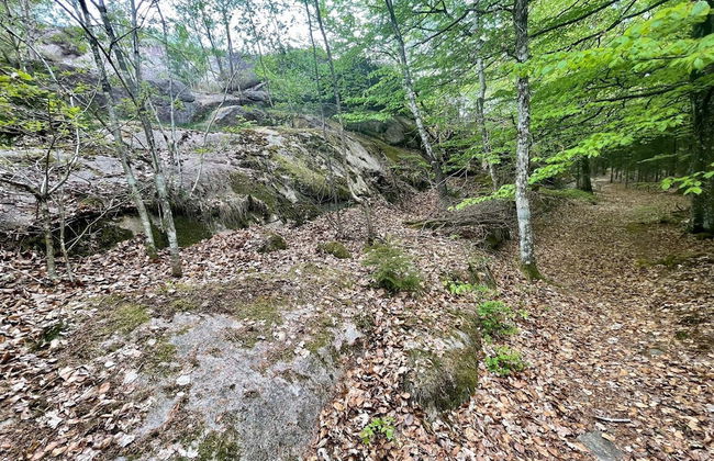 3 Person Holiday Home in Hunnebostrand-by Traum - Foto 22