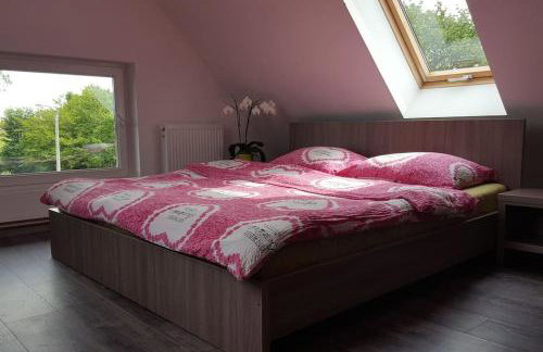 Apartamenty Holiday Slaw jacuzzi bilard - Foto 33