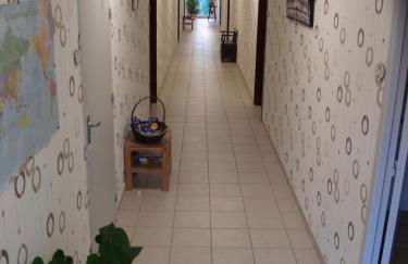 Le Rouge-gorge du Pescofi - Photo 12