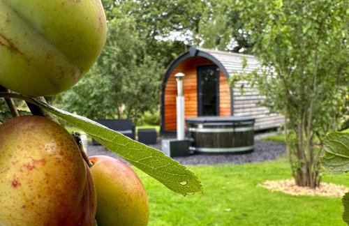 Tyddyn Parthle Pod 1 - Foto 10