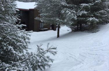 V3 Gorgeous SKI-IN Mountain View Townhouse with great views in Bretton Woods Fast wifi - Foto 23