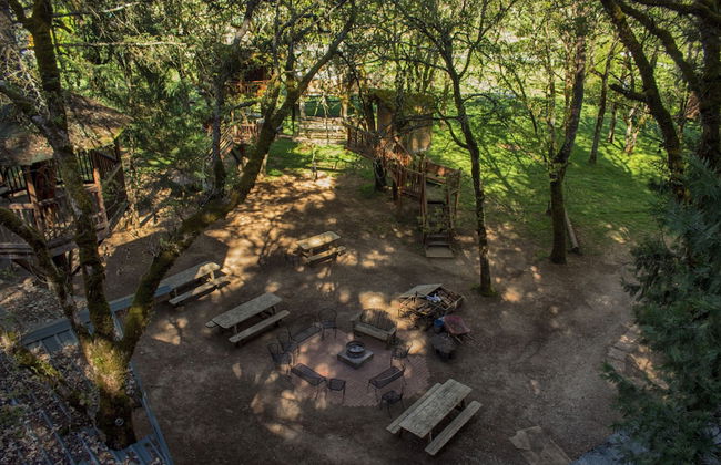 Out 'N' About Treehouse Treesort - Foto 62