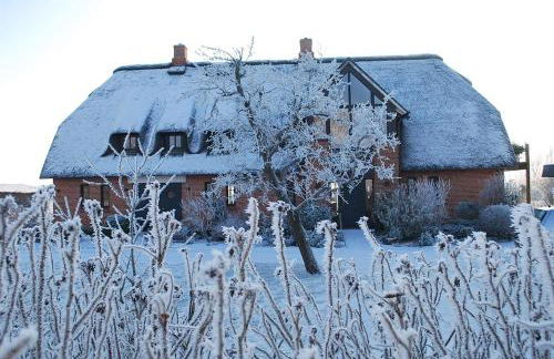 Ferienwohnung unter Reet - Photo 5