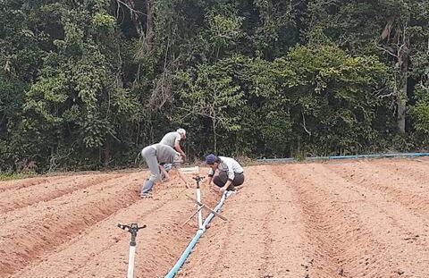 Natureza, paz no sítio - Foto 25