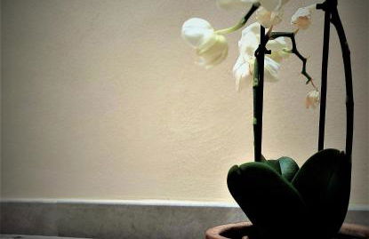 Castle Rooms - Foto 51