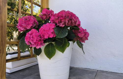 Apartamentos Guayonje Costa - Foto 25