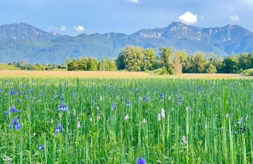Farmhouse 1604 - Das Bauernhaus eines Fischers - Foto 76
