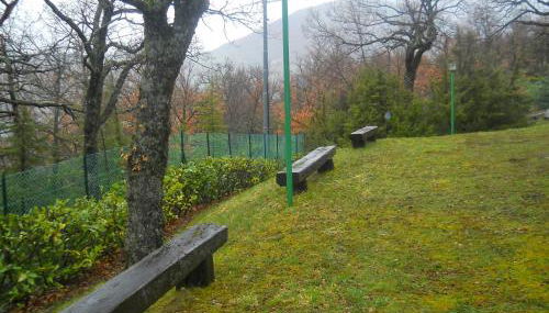 Villa Miralago - Foto 4, Garden