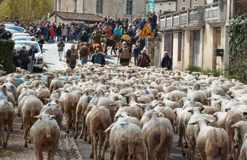 Appartement de caractère, 4 pers, village médiéval Martel, Animaux admis, WiFi gratuit - FR-1-828-15 - Photo 20