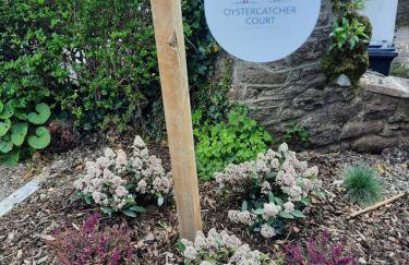 Oystercatcher number 6 , 2 bedrooms maidencombe village - Foto 14