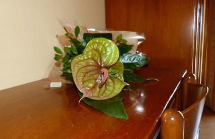 Agriturismo Ai Due Volti - Foto 34