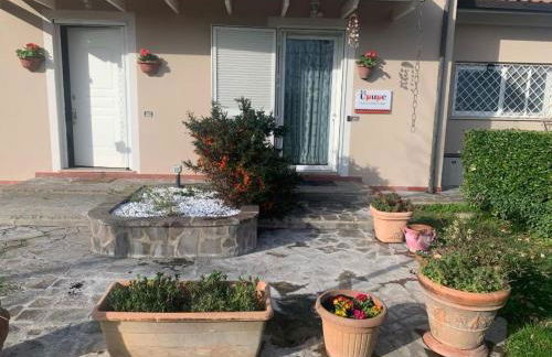 leupupe relax cultura mare monti - Foto 23